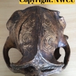 Dayak-carved-orangutan-skull-seized-by-South-Wales-Police-July-2018-©-IG-2