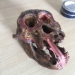 Dayak-carved-orangutan-skull-seized-by-South-Wales-Police-July-2018-©-IG