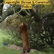 Devon-Cornwall-Police-deer-poaching-investigation2