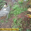 Gloucestershire-Police-badger-investigation