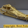 Siamese-Crocodile-Skulls-covered-in-gold-leaf-seized-by-Kent-Police-and-NWCU