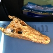 Siamese-Crocodile-skull-coated-with-gold-leaf-seized-by-Kent-police-in-February-2020-©-IG