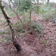 Dorset-Police-badger-sett