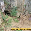 Gloucestershire-Police-badger-investigation5
