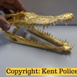 Siamese-Crocodile-Skulls-covered-in-gold-leaf-seized-by-Kent-Police-and-NWCU-2