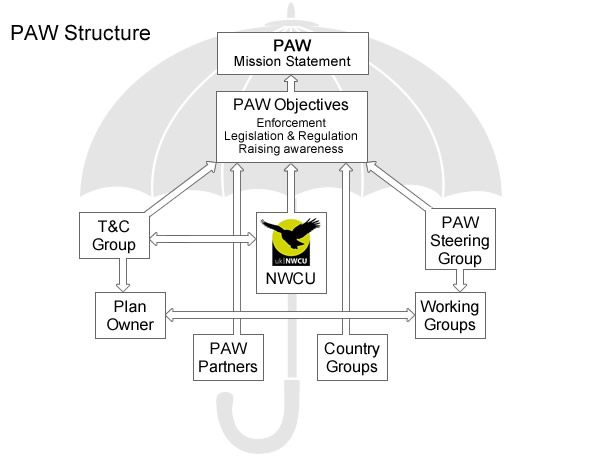 Structure of PAW