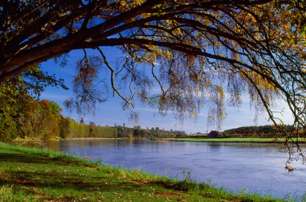 River Tweed