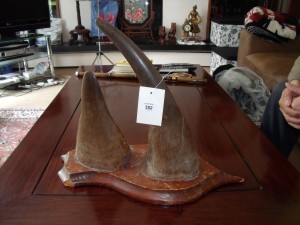 Rhino horn confiscated from Shi. Credit: NWCU.