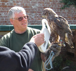 McManus-Dunkley holding one of the forfeited birds – a European Buzzard which is shown being scanned for a microchip during the AHVLA inspection on 8th August 2011. Credit: AHVLA.