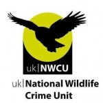 NWCU Logo