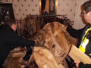 Wolf fur coats - credit NWCU