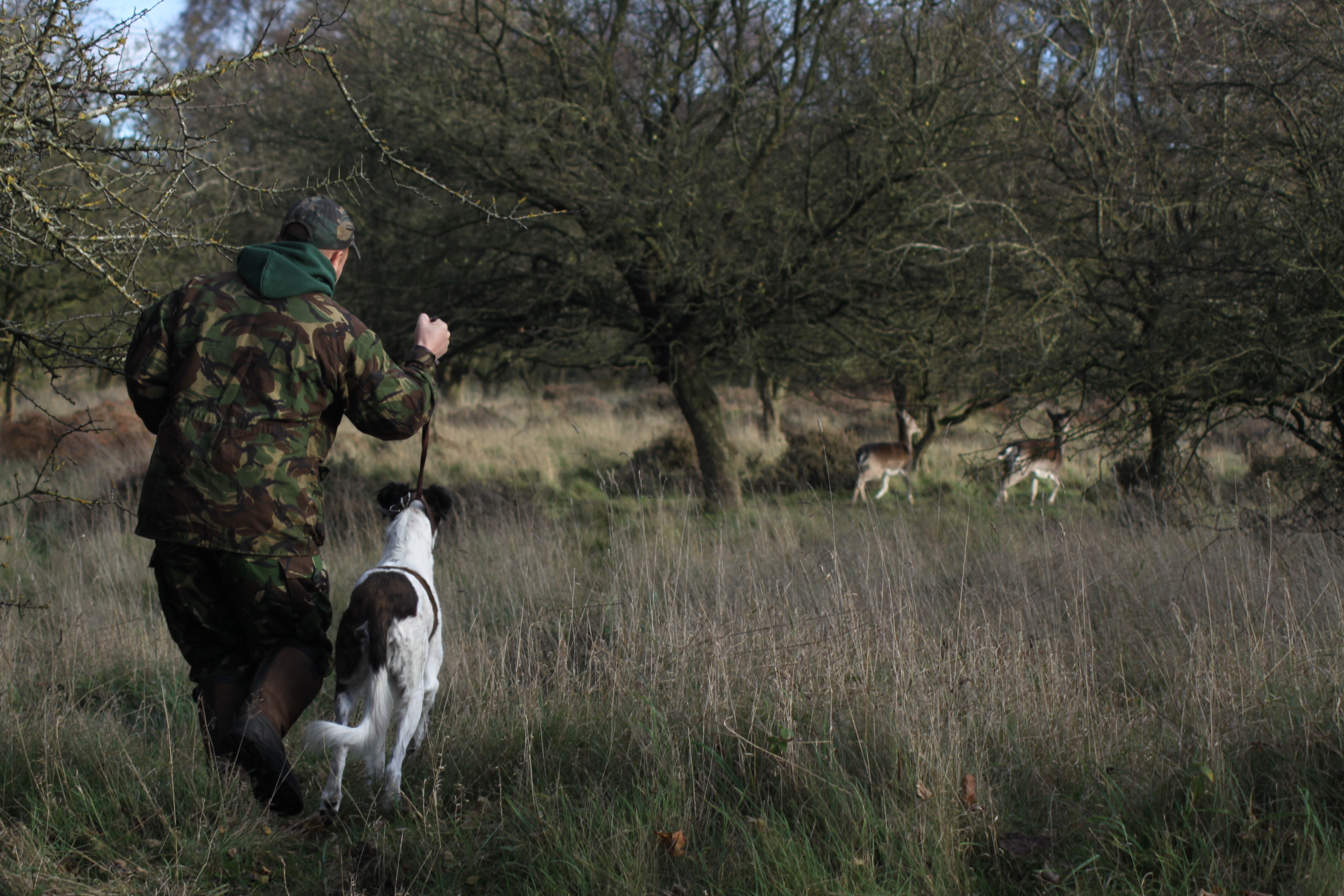 Poaching (Deer and Fish) and Hare Coursing | National Wildlife Crime Unit |  NWCU